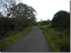 Picture 013