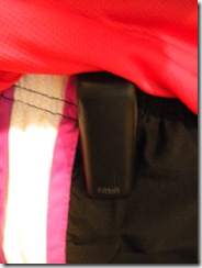 fitbit 002