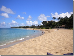 Maui 2010 022