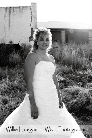 [IMG_4862[3].jpg]