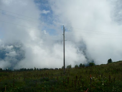 P1060853.jpg