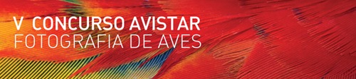 concurso