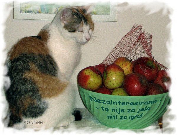 Nezainteresirana