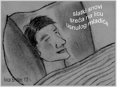 Haiga niz Komarac 1/3