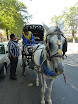 P1040520.JPG