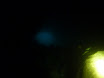 P1050160.JPG