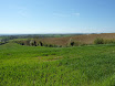P1050287.JPG