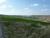 P1050418.JPG