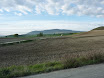 P1050373.JPG