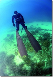 mares-spearfishing-img