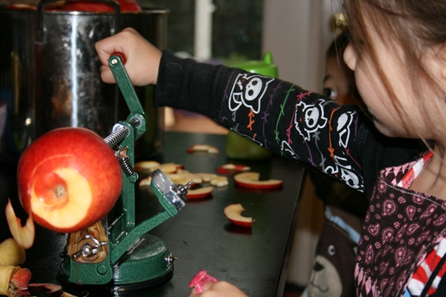 [IMG_74623.jpg]
