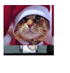 [image[2].png]
