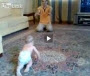 Dad Endangers Baby to Film Video