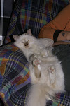 DSC05327.JPG