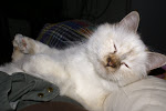 DSC05337.JPG