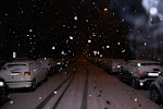 DSC05358.JPG