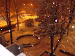 DSC05486.JPG