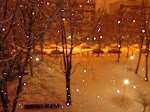 DSC05489.JPG