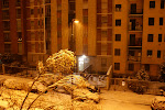 DSC05398.JPG