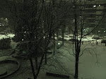 DSC05459.JPG