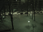 DSC05461.JPG