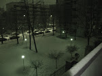 DSC05463.JPG