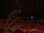 DSC05503.JPG