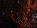 DSC05505.JPG