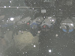 DSCN0850.JPG