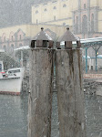 DSCN0793.JPG