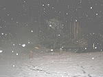 DSCN0835.JPG