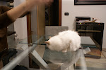 DSC05086.JPG