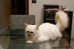 DSC05075.JPG