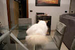 DSC05098.JPG