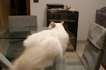 DSC05104.JPG