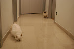 DSC05125.JPG