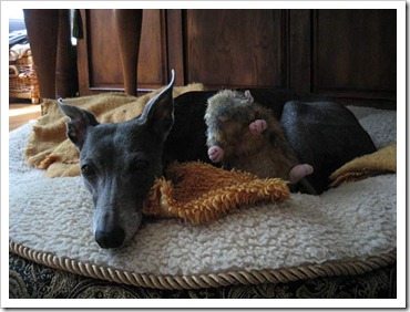 ronja-recovering-2010