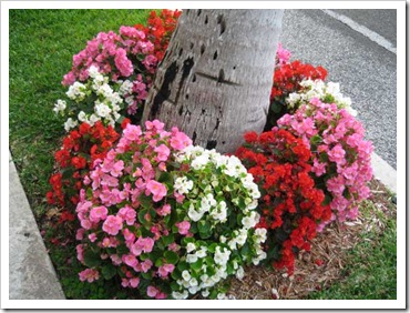 spring-flowers-2