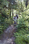 135_MTB_2010