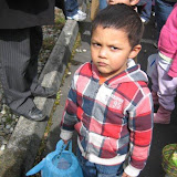 Photos