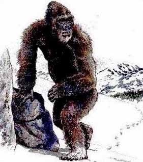 [yeti15.jpg]