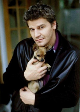 [David Boreanaz4[6].jpg]