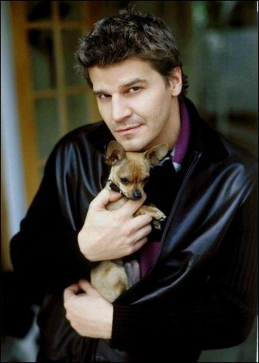 David Boreanaz