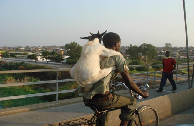 [cycling goat[4].jpg]