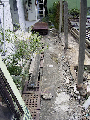 建地後方一覽，照片中兩塊石頭是鋼釘界標所在。