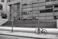 DSC_0400-1.JPG
