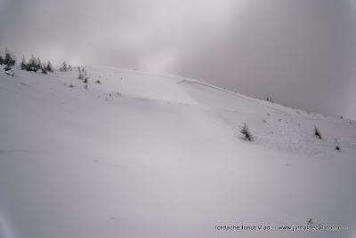 DSC_4131.jpg