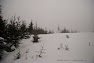 DSC_4133.jpg