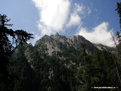 Valea Alba - Albisoara Branei (1).JPG