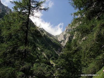 Valea Alba - Albisoara Branei (2).JPG